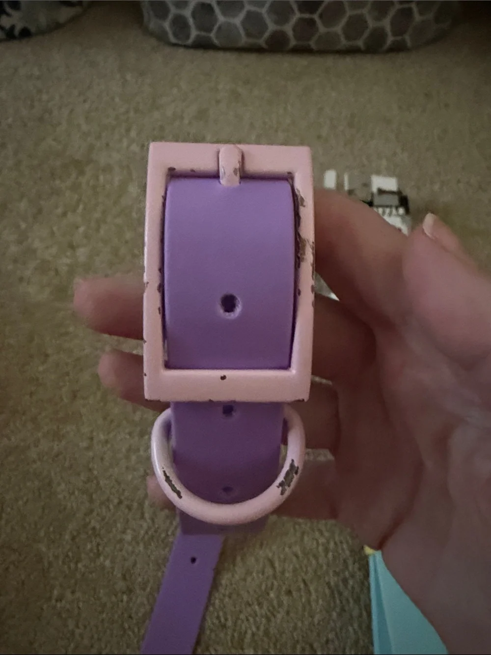 Dog Collars size large - Pastel Purple and Pastel Blue